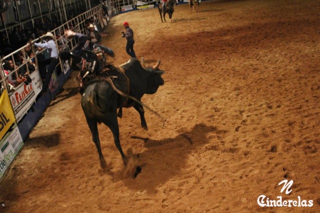 Expotrês 2011 Expotrês 2011