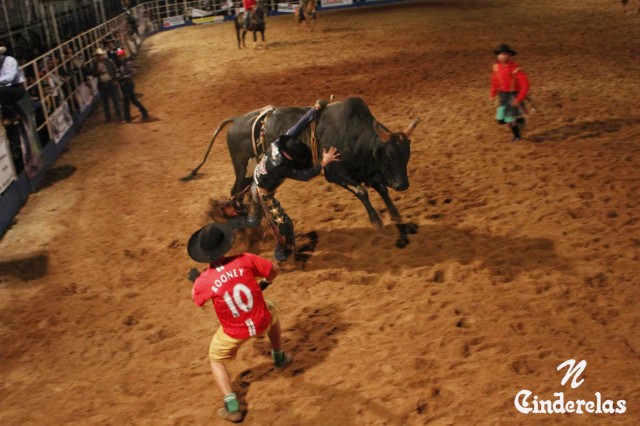Expotrês 2011 Expotrês 2011