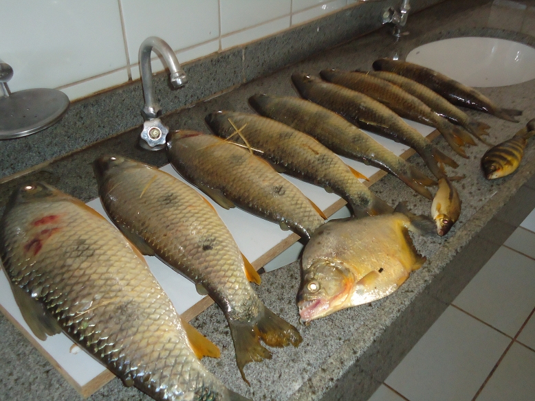 PMA prende seis pescadores que pescavam nas proximidades de hidrelétrica e os autua em R$ 12 mil