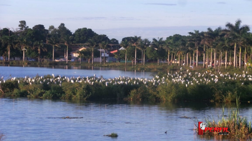 Segunda-feira será sem previsão de chuva em Três Lagoas