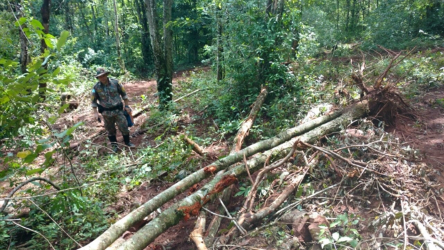 PMA autua 17, aplica R$ 18,3 mil em multas e apreende 4 km de redes de pesca durante a operação Semana Santa