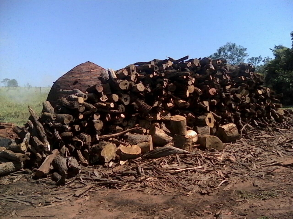 PMA fecha carvoaria e autua em R$ 5,4 mil proprietário por processar carvão de madeira nativa sem origem
