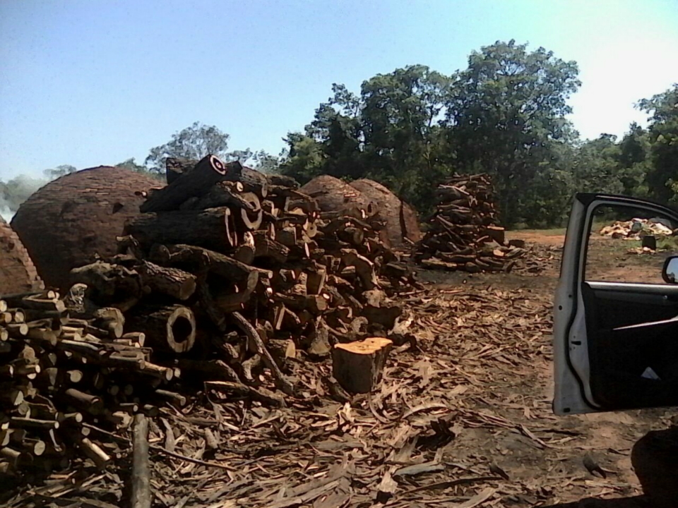 PMA fecha carvoaria e autua em R$ 5,4 mil proprietário por processar carvão de madeira nativa sem origem