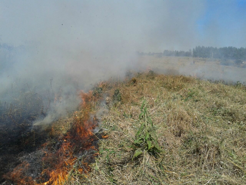 PMA autua assentado em R$ 11 mil por incêndio em 11 hectares de área de pastagem