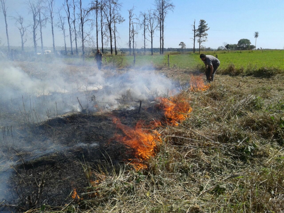 PMA autua assentado em R$ 11 mil por incêndio em 11 hectares de área de pastagem