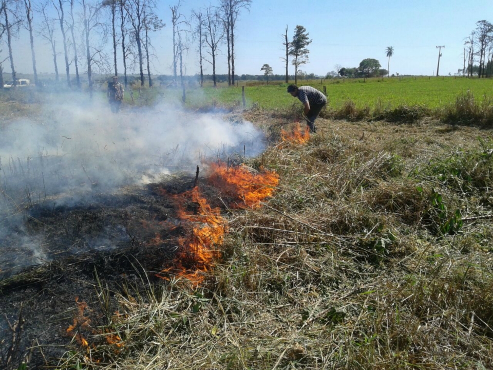 PMA autua assentado em R$ 11 mil por incêndio em 11 hectares de área de pastagem