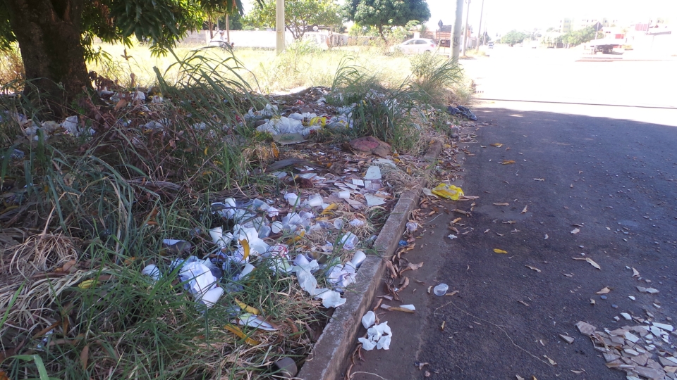 Terreno em área central de Três Lagoas vira depósito de lixo