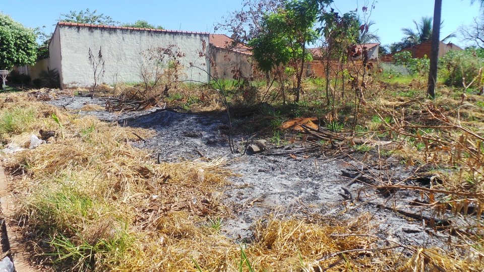 Terreno em área central de Três Lagoas vira depósito de lixo