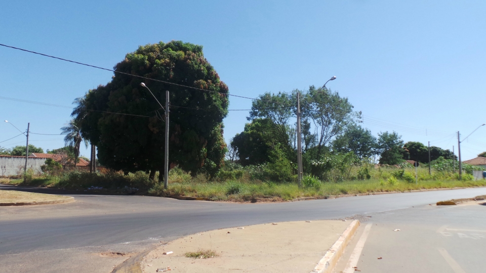 Terreno em área central de Três Lagoas vira depósito de lixo