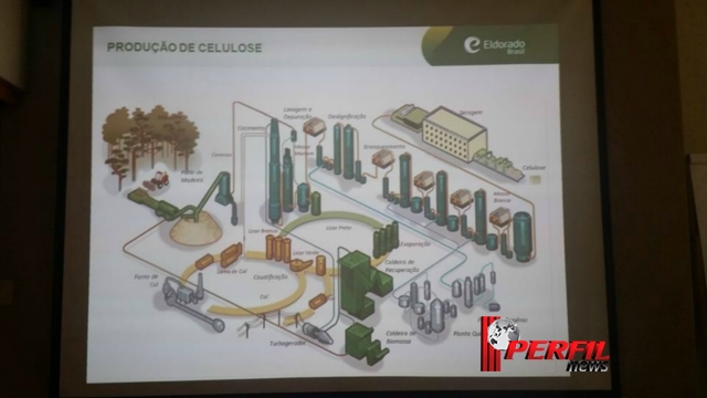 Eldorado Brasil em três anos e quatro meses bate recorde de produção mundial de celulose