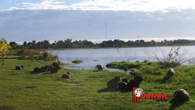 Frio deve permanecer nesta quinta em Três Lagoas, segundo previsão