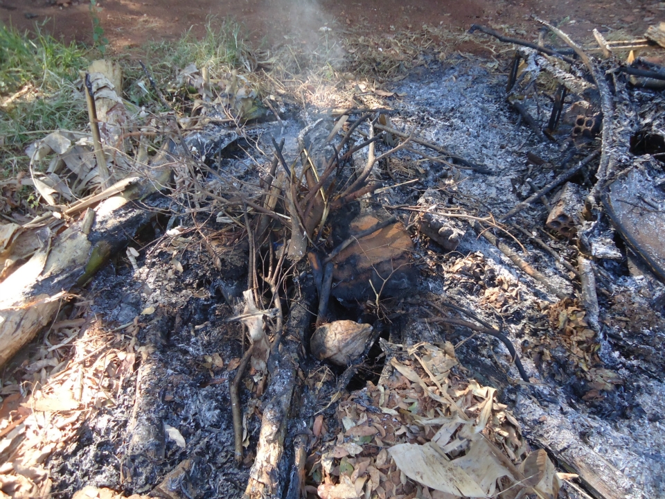 Três-lagoense é autuado pela PMA por queima em terreno baldio