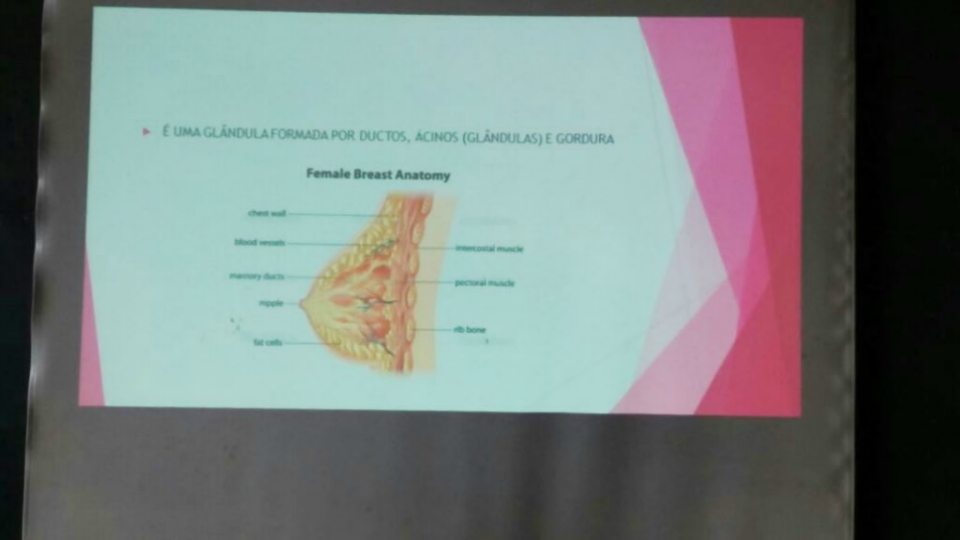 No dia do profissional de enfermagem, servidores recebem capacitação de exame clínico das mamas