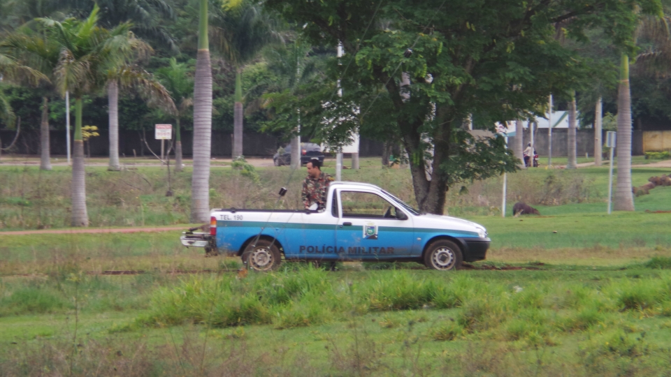 Jacaré chama atenção ao matar capivara na Lagoa Maior