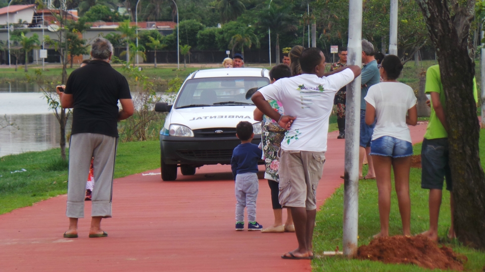 Jacaré chama atenção ao matar capivara na Lagoa Maior