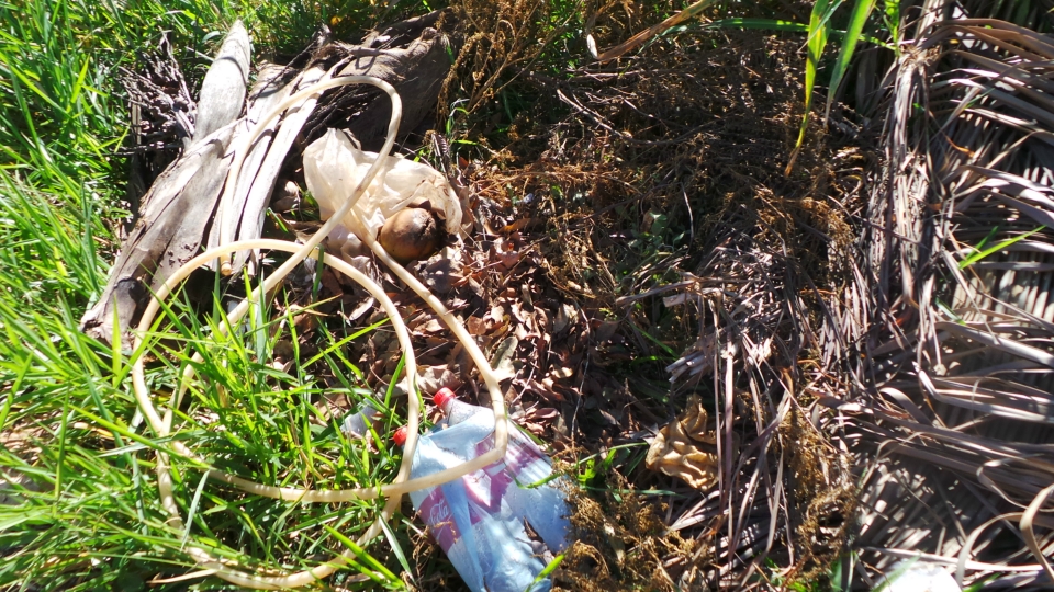 Lixão em terreno baldio irrita moradores e mostra descaso da prefeitura Lixão em terreno baldio irrita moradores e mostra descaso da prefeitura