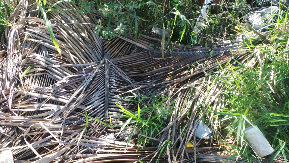 Lixão em terreno baldio irrita moradores e mostra descaso da prefeitura Lixão em terreno baldio irrita moradores e mostra descaso da prefeitura