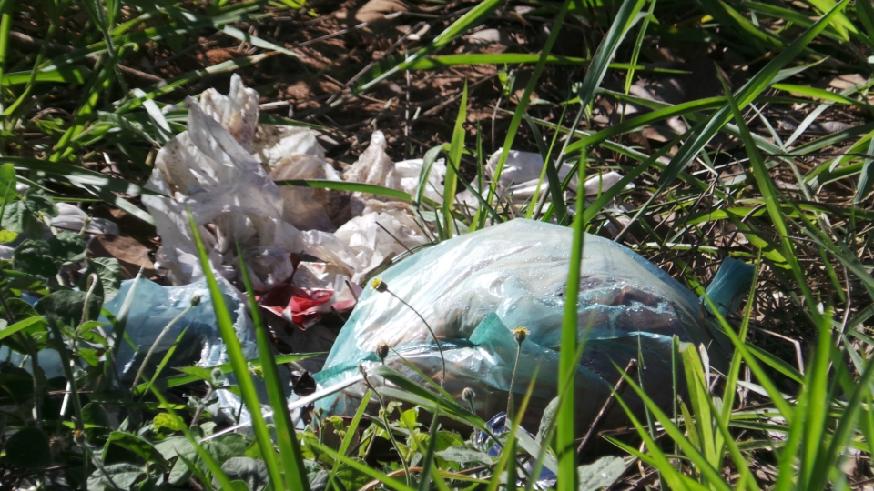 Lixão em terreno baldio irrita moradores e mostra descaso da prefeitura Lixão em terreno baldio irrita moradores e mostra descaso da prefeitura
