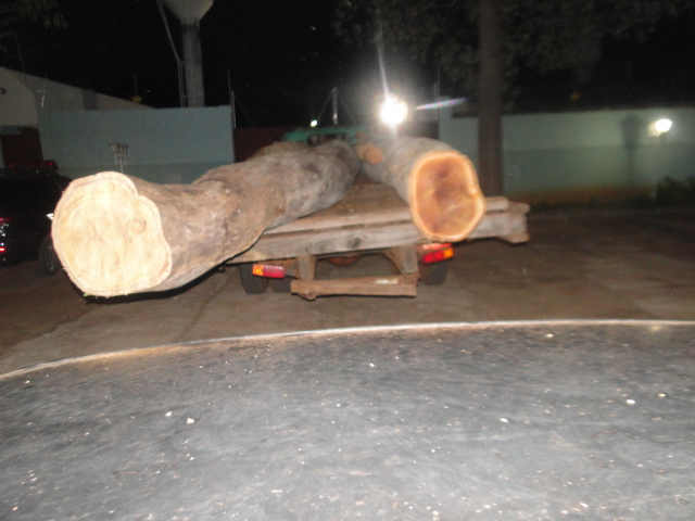 PMA apreende carga de madeira ilegal em posse de marceneiro