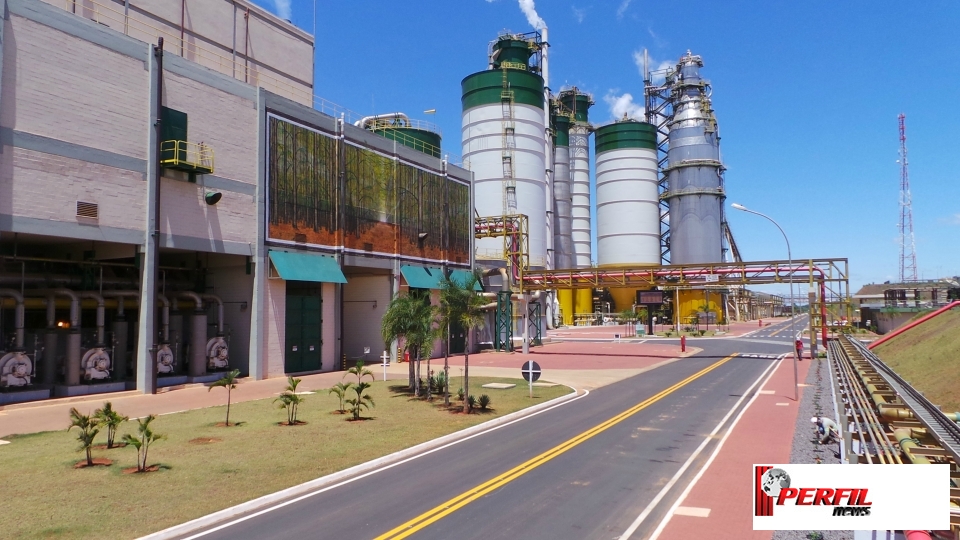 Orçada em R$ 10 bilhões, nova linha da Eldorado vai operar no 1º semestre de 2019