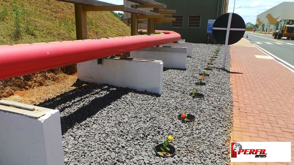 Orçada em R$ 10 bilhões, nova linha da Eldorado vai operar no 1º semestre de 2019