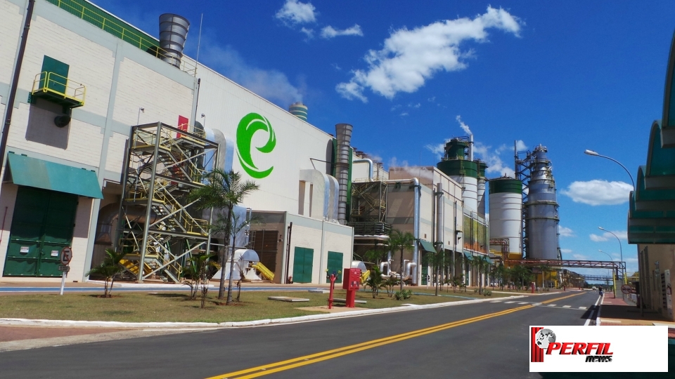 Orçada em R$ 10 bilhões, nova linha da Eldorado vai operar no 1º semestre de 2019