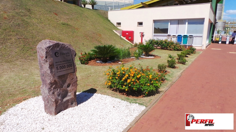 Orçada em R$ 10 bilhões, nova linha da Eldorado vai operar no 1º semestre de 2019