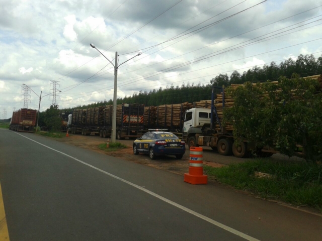 PRF realiza operação para fiscalizar caminhões transportadores de toras eucalipto