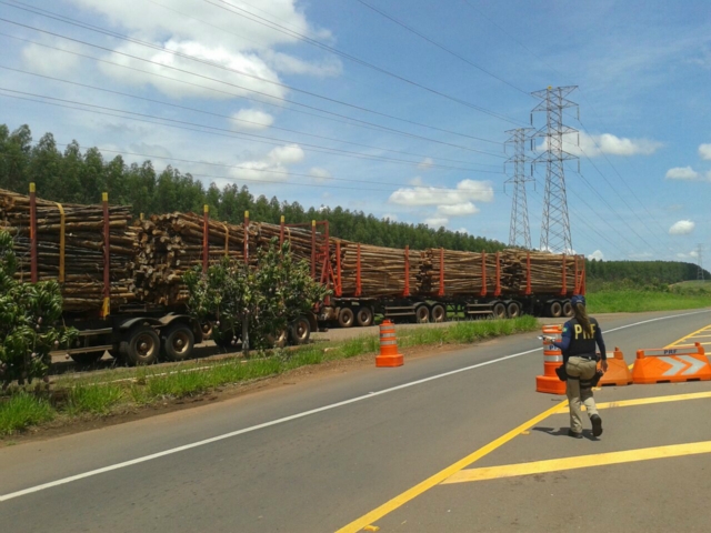 PRF realiza operação para fiscalizar caminhões transportadores de toras eucalipto