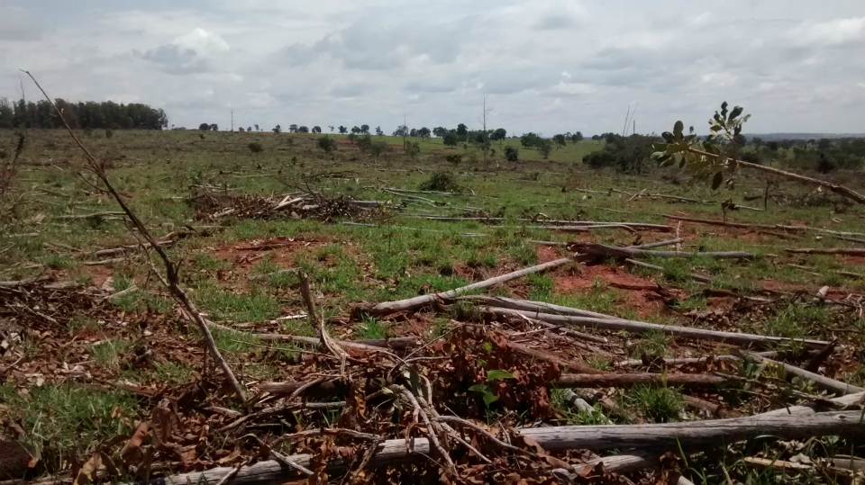 Fazendeiro de Santa Rita do Pardo é autuado pela PMA por desmatamento