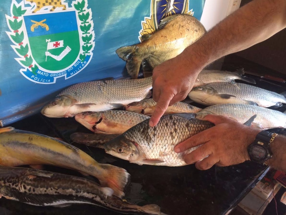 PMA desmonta acampamento ilegal de pesca e apreende pescado e petrechos ilegais