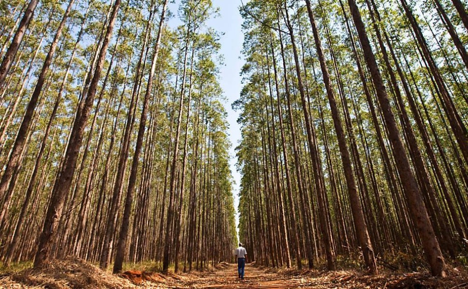 Três Lagoas, a terra das oportunidades