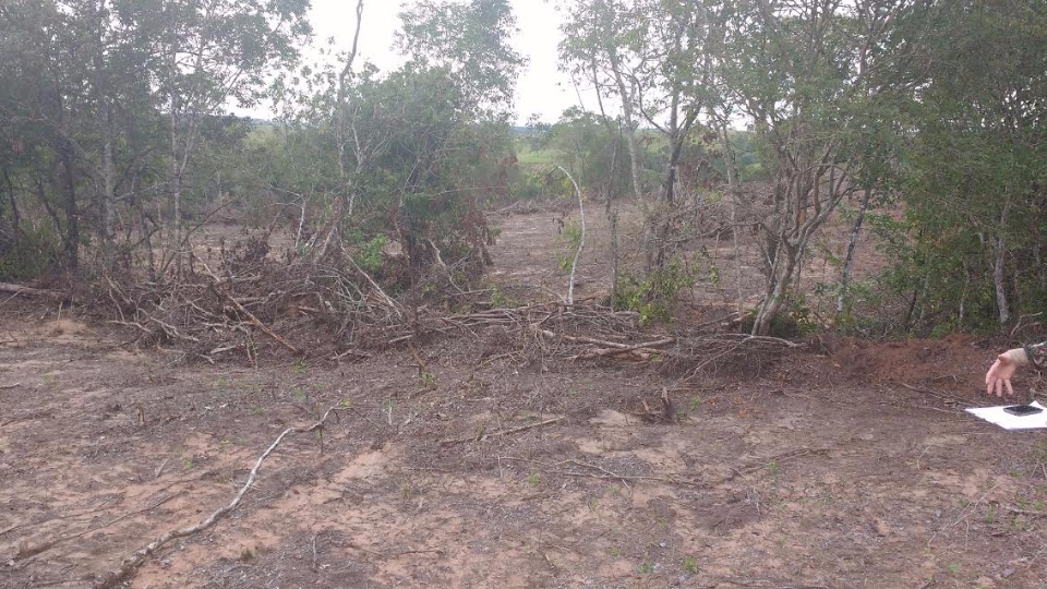PMA autua arrendatário de fazenda em R$ 8 mil por desmatamento ilegal de 8 hectares de vegetação de cerrado