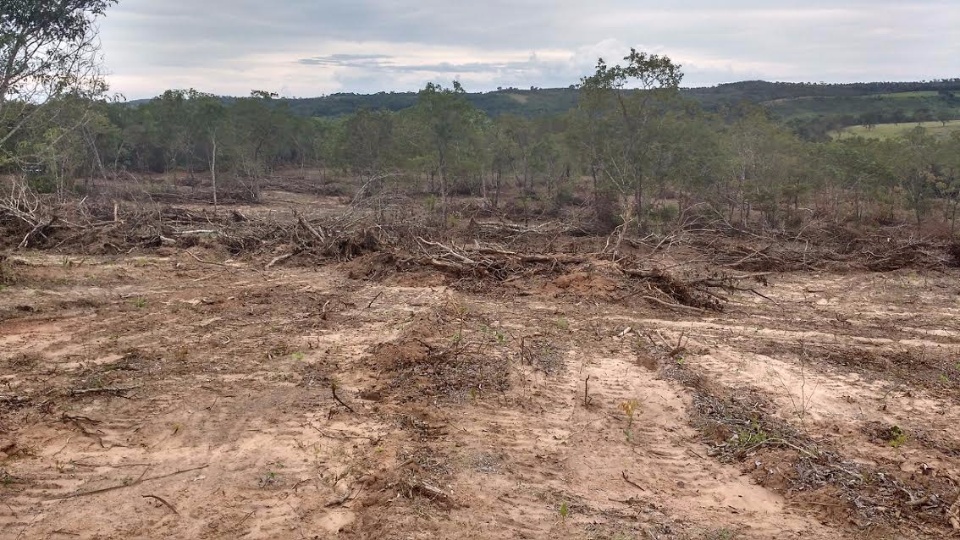 PMA autua arrendatário de fazenda em R$ 8 mil por desmatamento ilegal de 8 hectares de vegetação de cerrado