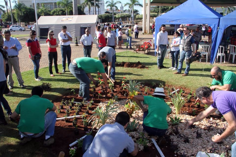 Ação “Áreas Mais Verdes” da Prefeitura de Três Lagoas planta árvores na Praça Senador Ramez Tebet