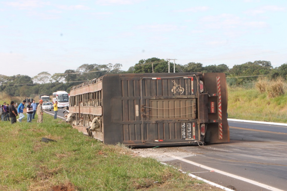 Carreta carregada de gado tomba e deixa uma pessoa ferida