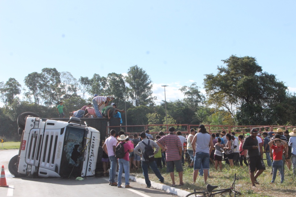 Após acidente envolvendo carreta, gado é removido na BR 262