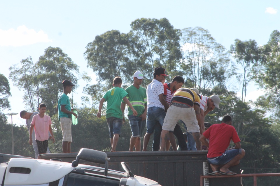 Após acidente envolvendo carreta, gado é removido na BR 262