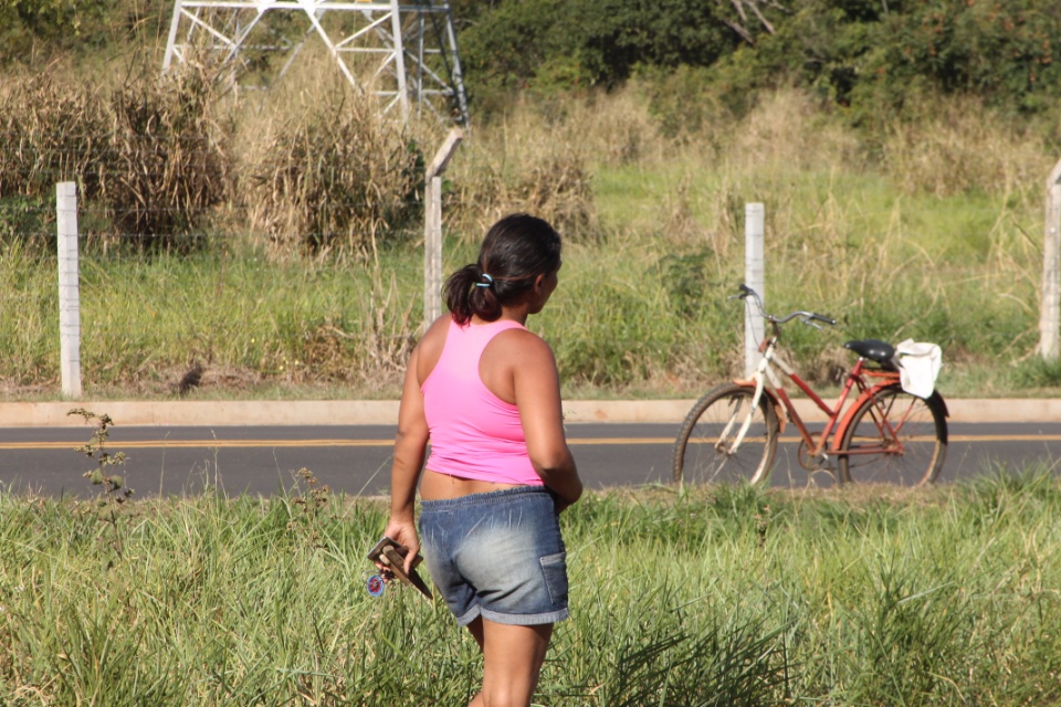 Após acidente envolvendo carreta, gado é removido na BR 262