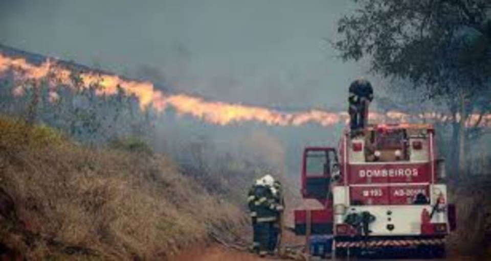 Bombeiros de todo Brasil comemoram seu dia com muitas atividades