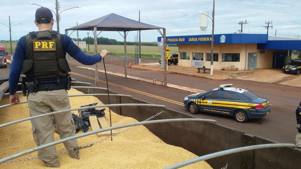 PRF bate recorde em apreensões de drogas neste semestre