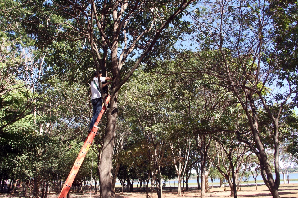 Lagoa Maior ganha 120 mudas de Orquídeas