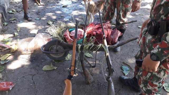 PMA prende e autua em R$ 5 mil um caçador com três rifles e animais abatidos