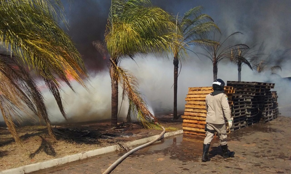 Fabricas são atingidas por incêndio em vegetação próxima