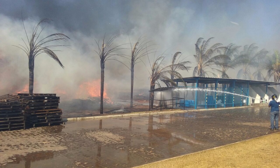 Fabricas são atingidas por incêndio em vegetação próxima