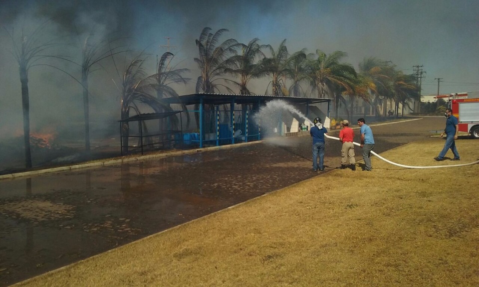 Fabricas são atingidas por incêndio em vegetação próxima
