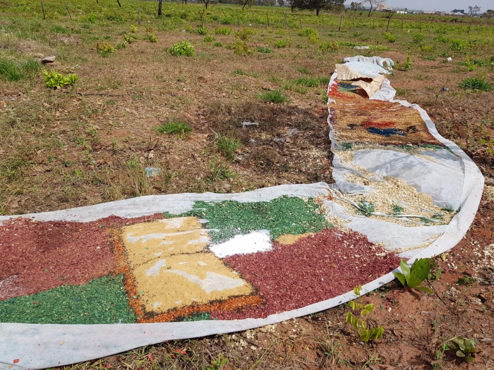 Lixo e entulhos são jogados a céu aberto em bairro de Três Lagoas