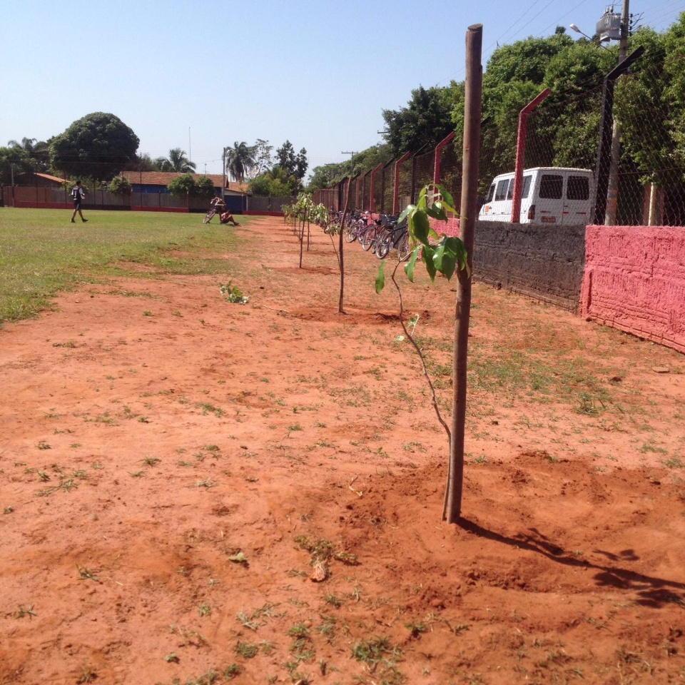 Secretaria de Meio Ambiente distribui mudas e planta árvores em Três Lagoas