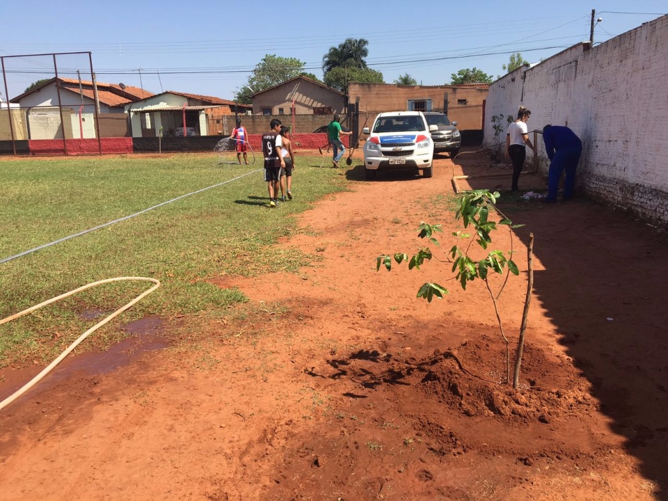 Secretaria de Meio Ambiente distribui mudas e planta árvores em Três Lagoas