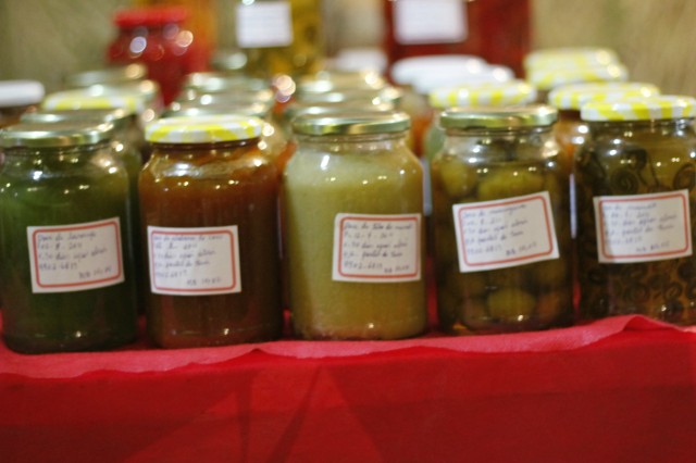 26° Festa do Folclore de Três Lagoas/MS 26° Festa do Folclore de Três Lagoas/MS